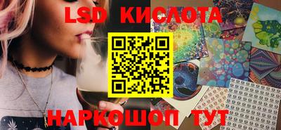крисы Малгобек