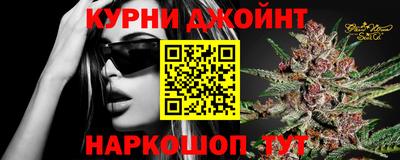 крисы Малгобек