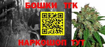 крисы Малгобек